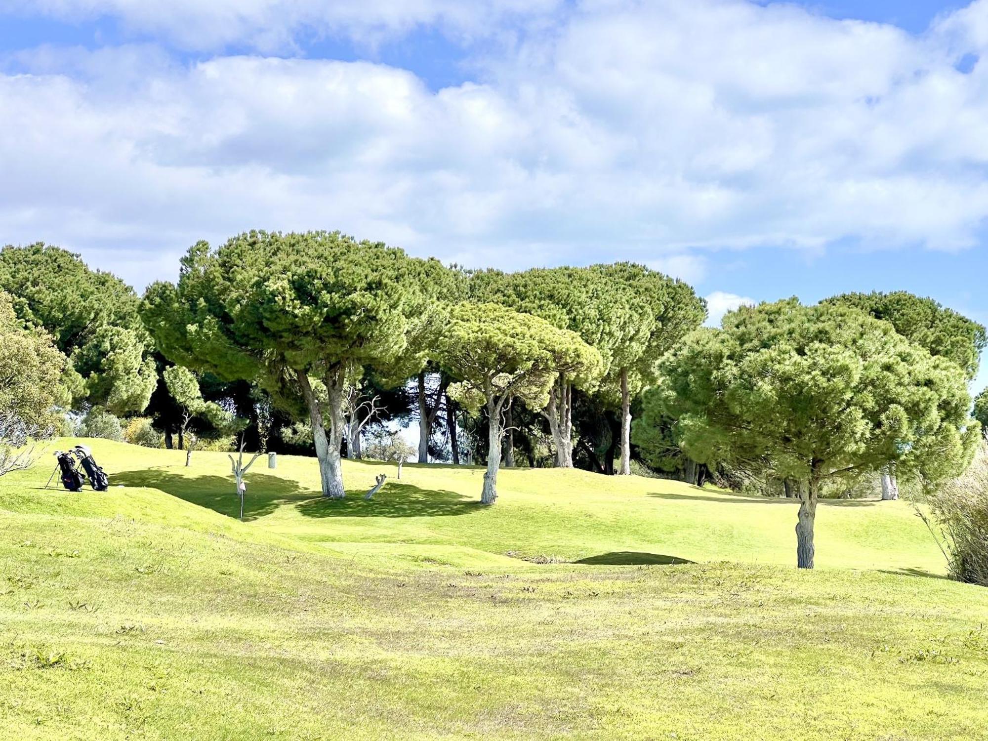 Balaia Golf Vilage 7 With Pool By Homing *